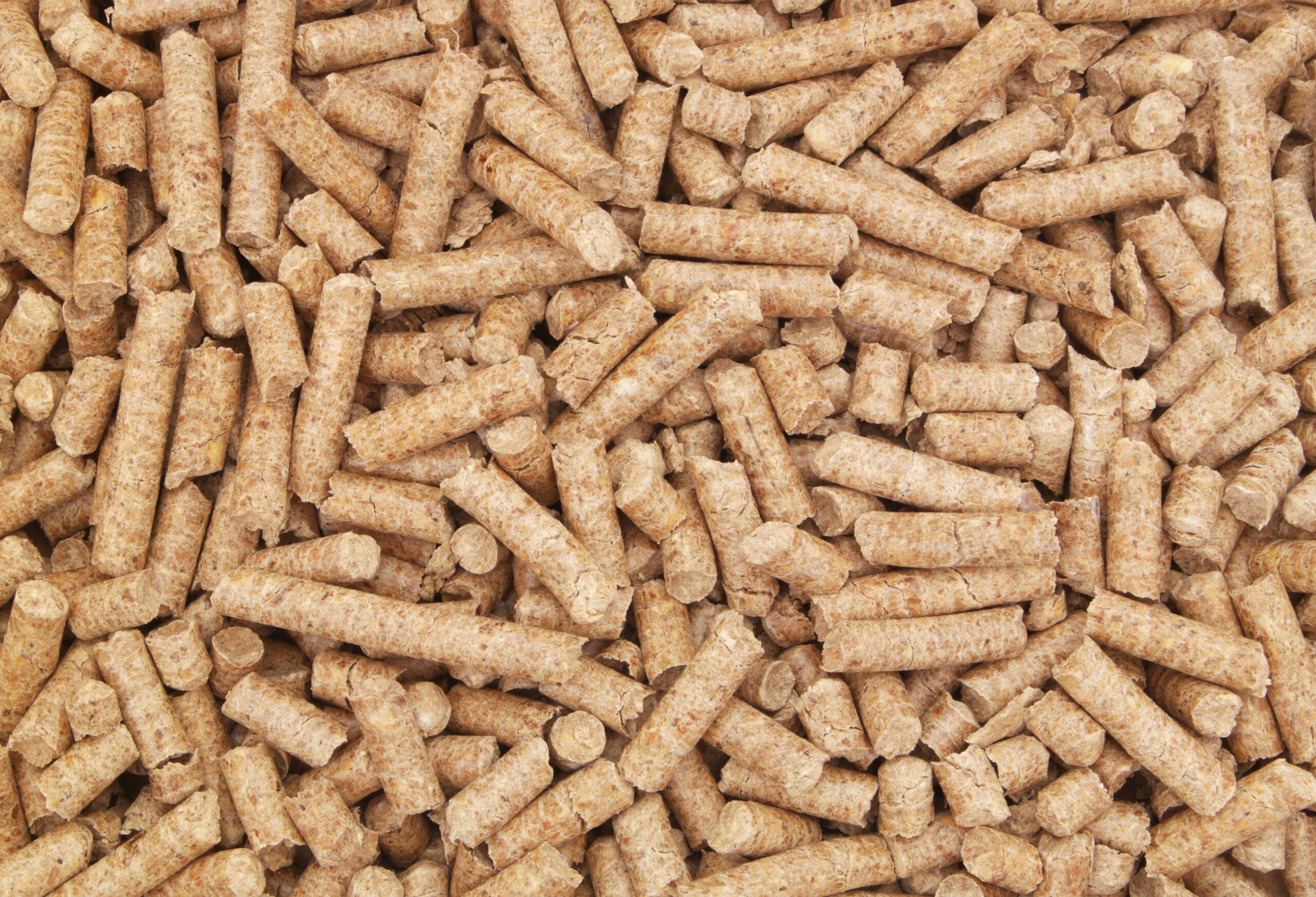 wood biofuel pellets